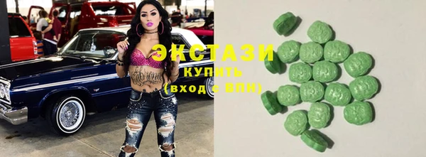 индика Сатка