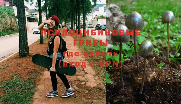 мяу мяу мука Беломорск