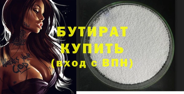 индика Сатка